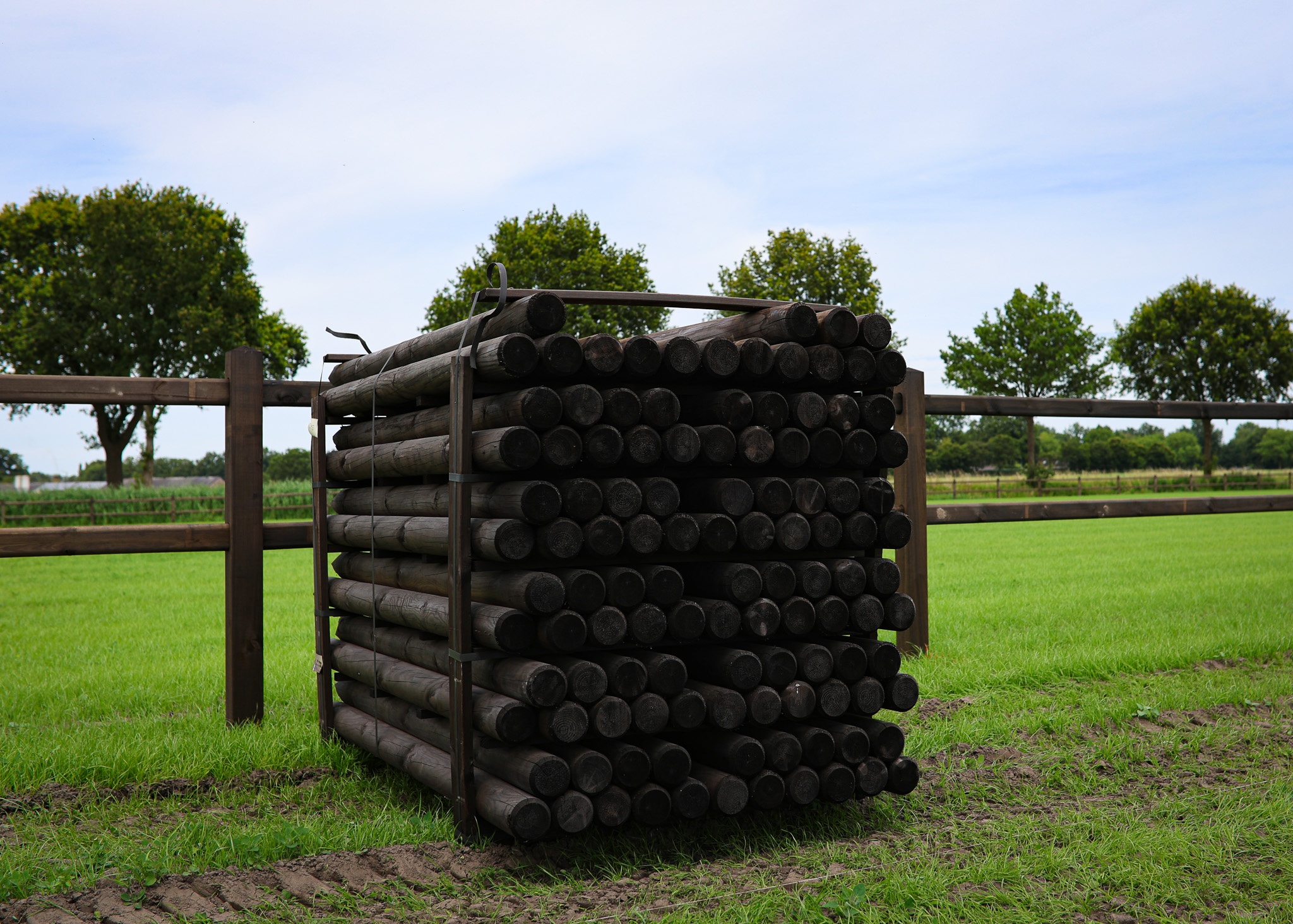 weidepalen schapen paarden omheining